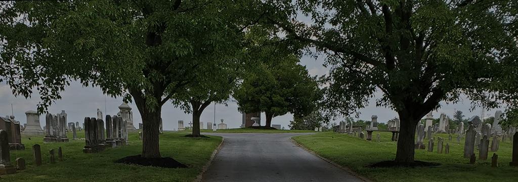 Westminster Cemetery Road view
