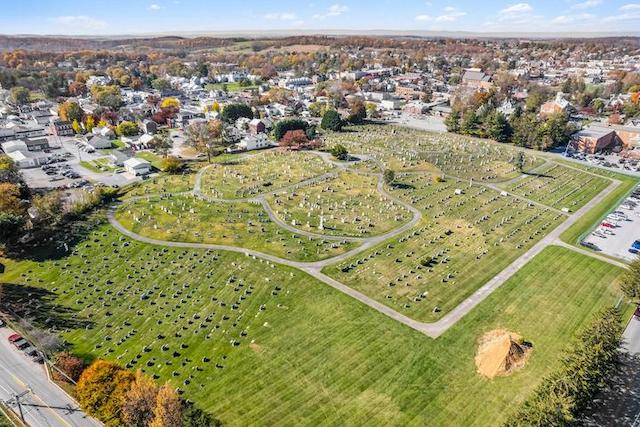 Thumbnail of slide 4