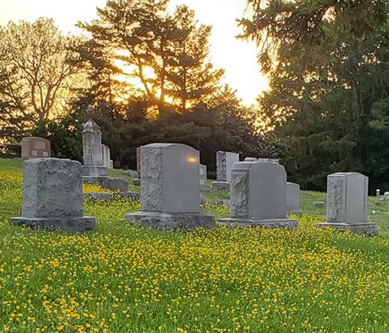 In-ground Traditional Lots